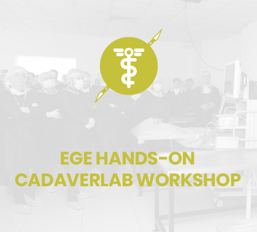 1st EGE HANDS-ON CADAVERLAB WORKSHOP (TOETVA)